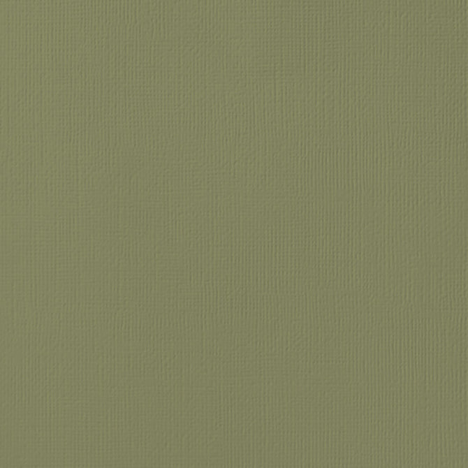 Cartulina Importada Olive – American Crafts