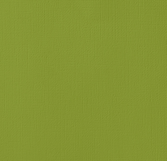 Cartulina Importada Leaf – American Crafts