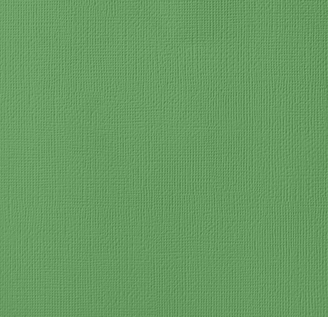 Cartulina Importada Moss – American Crafts