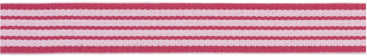 Taffy Horizontal Stripes Ribbon – American Crafts