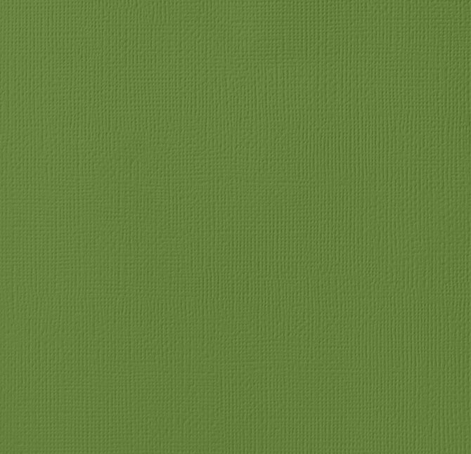 Cartulina Importada Spinach – American Crafts