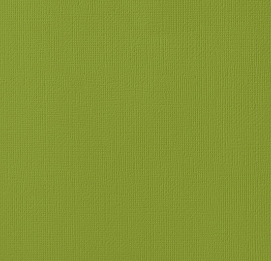 Cartulina Importada Grass – American Crafts