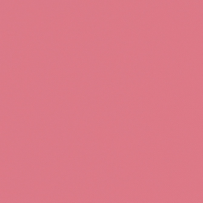 Cartulina Importada Rosebud – American Crafts
