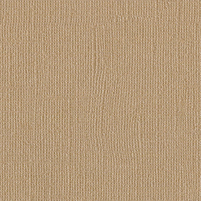Paper Blank Check – American Crafts