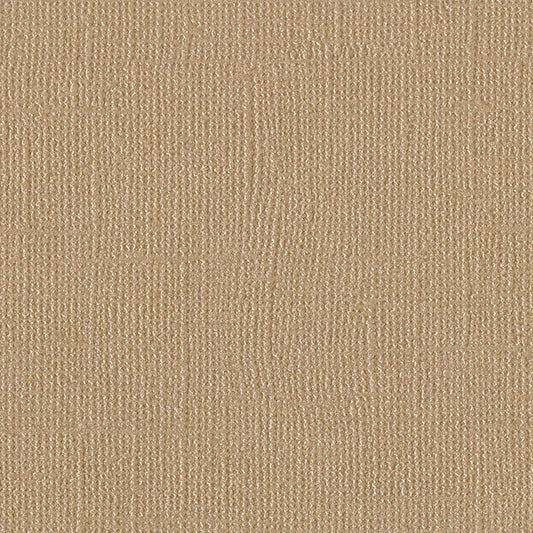 Paper Blank Check – American Crafts