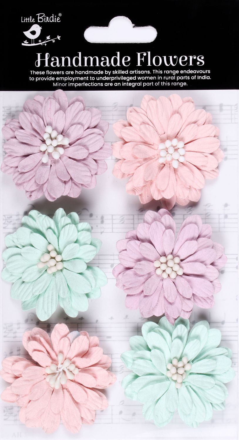 Astra Flowers