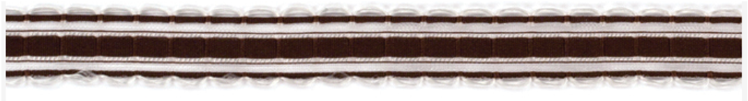 Coffee Satin Sheer Edge Ribbon – American Crafts
