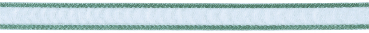 Robins Egg Sheer Satin Edge Ribbon – American Crafts